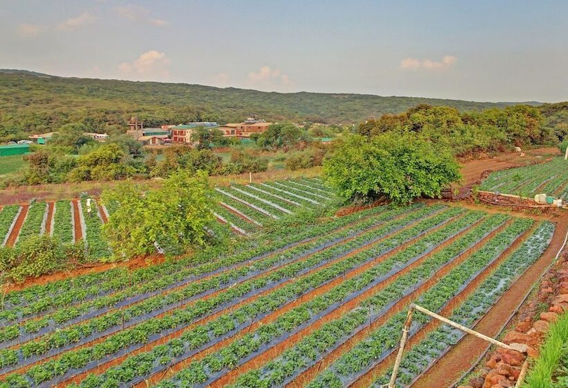 酒店 Treebo Berry Hill Venna Lake, 3 Km From City Center