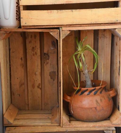 Las Fumarolas De Don Goyo Cholula