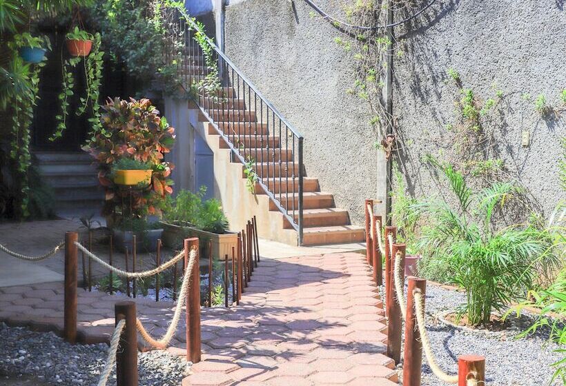 펜션 Bm Zihua Casa De Huéspedes