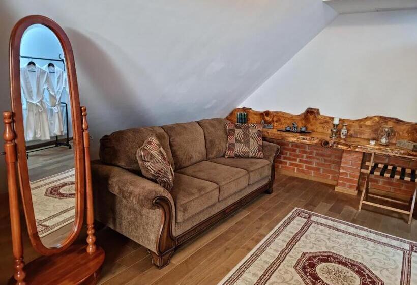 بنسيون Cetatea Medievala