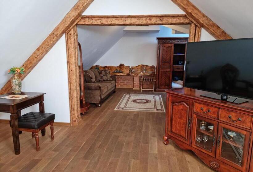 بنسيون Cetatea Medievala