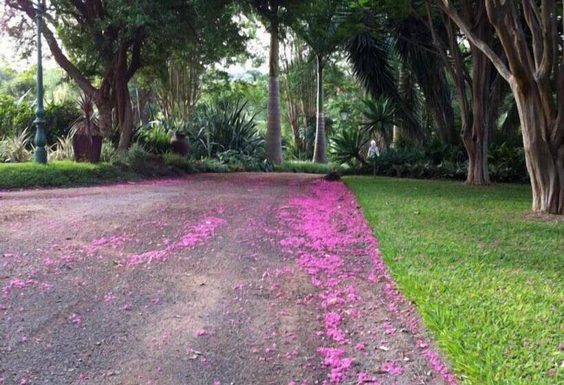 Pension Cuckoos Nest Guest House