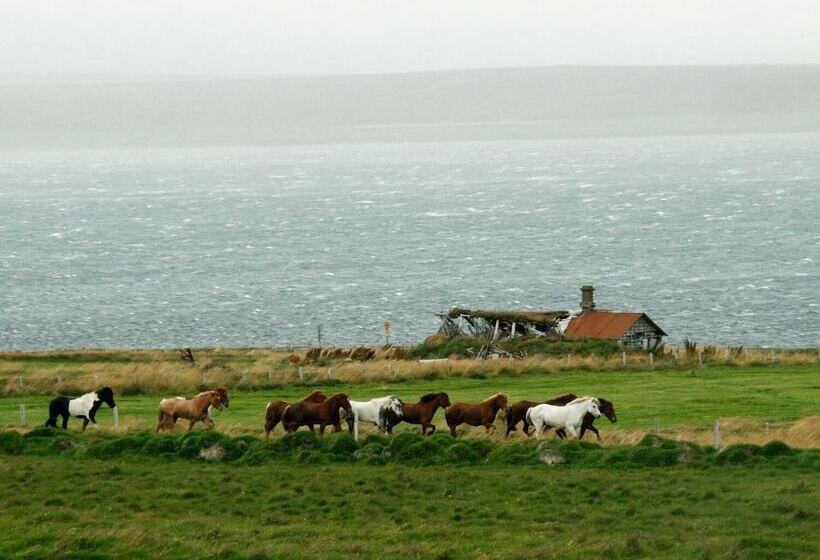 پانسیون Guesthouse Klettur