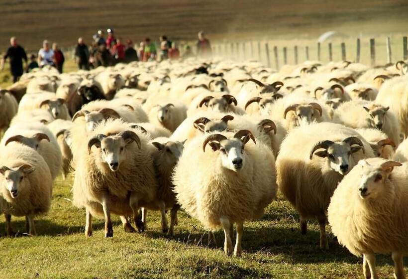 پانسیون Guesthouse Klettur