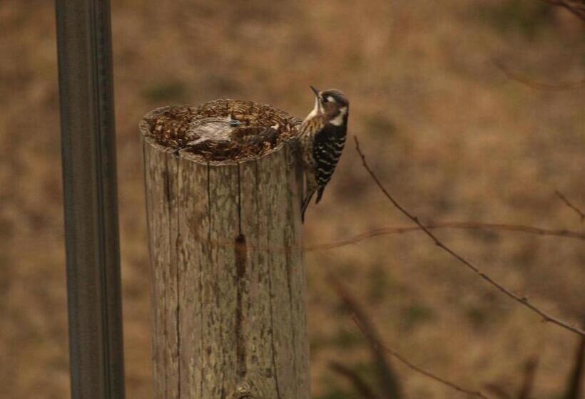 펜션 Hillside Inn Sirocco