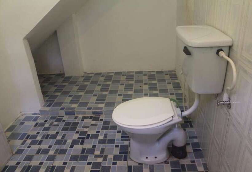 ペンション Jungle Guest House