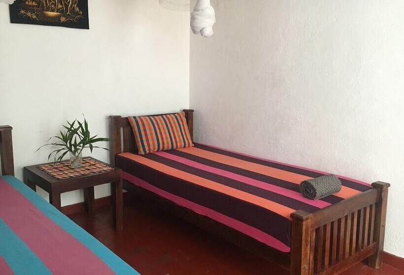 ペンション Jungle Guest House