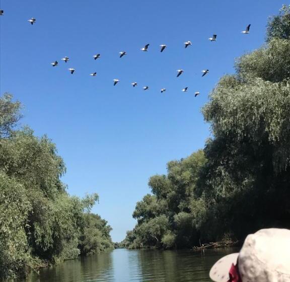 膳宿费 Orizont Mahmudia