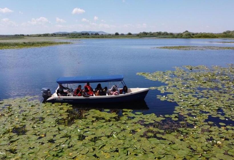 膳宿费 Orizont Mahmudia