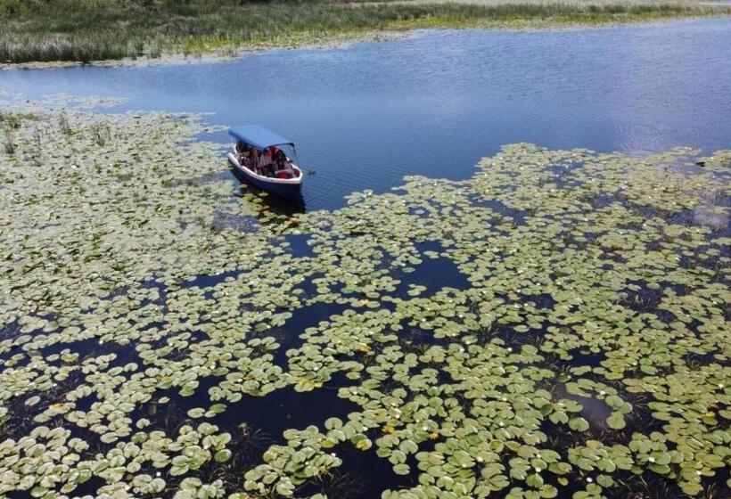 膳宿费 Orizont Mahmudia