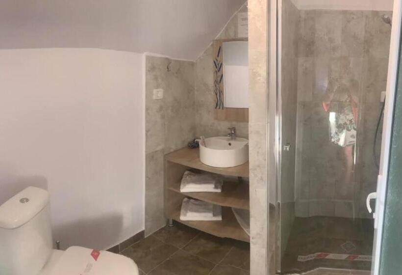 膳宿费 Orizont Mahmudia