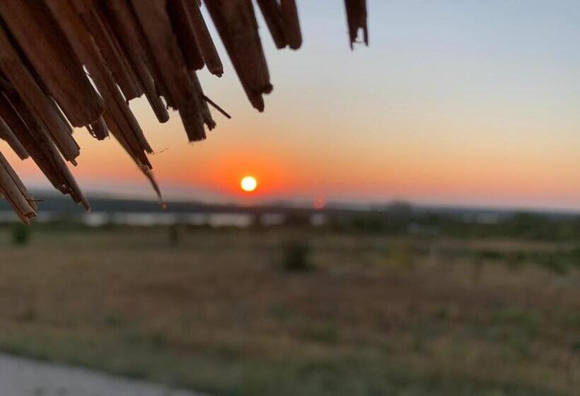 膳宿费 Orizont Mahmudia