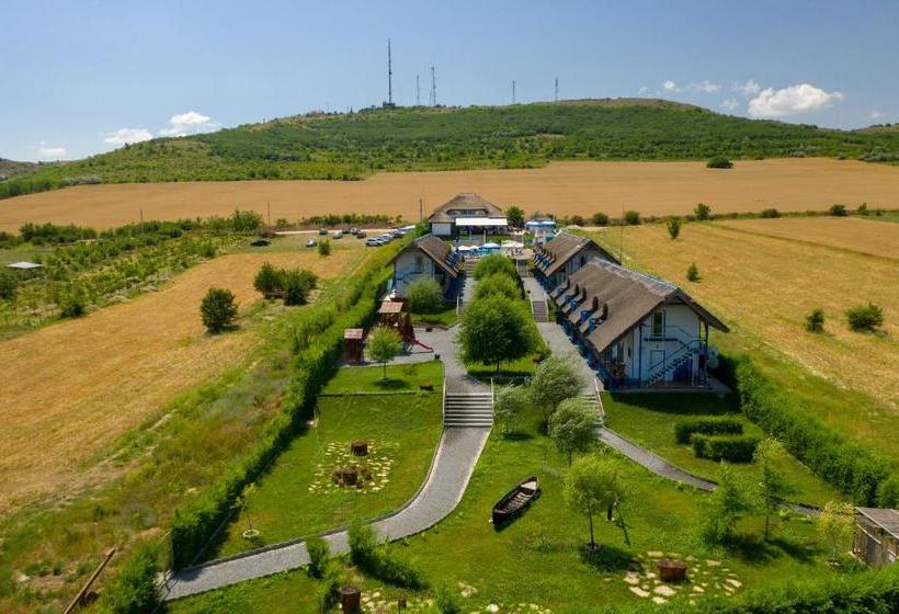 膳宿费 Orizont Mahmudia