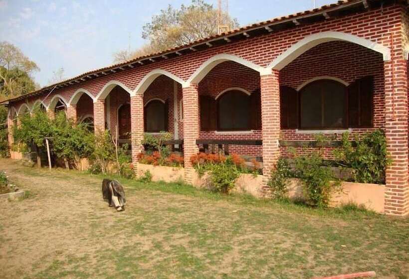 פנסיון Pousada 4 Cantos