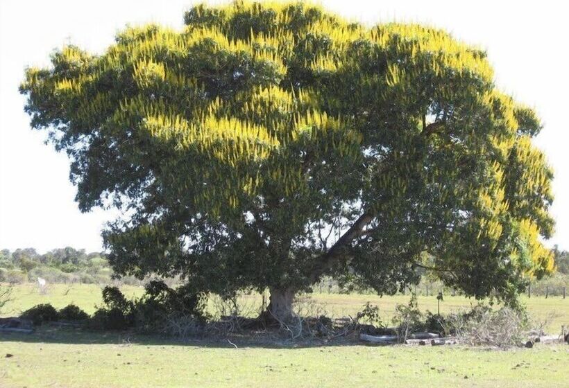 פנסיון Pousada 4 Cantos