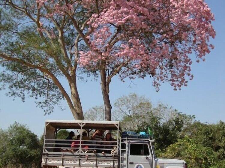 פנסיון Pousada 4 Cantos