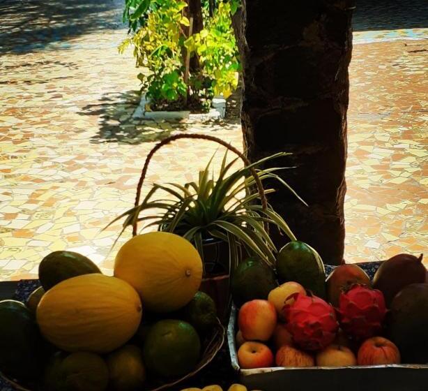 פנסיון Pousada 4 Cantos