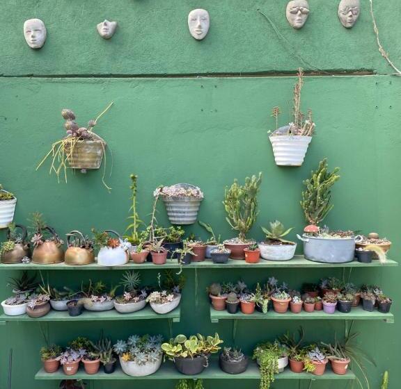 Пансион Pousada Brasil Tropical