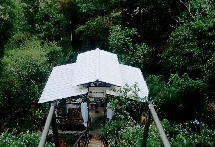 Пансион Pousada Brasil Tropical