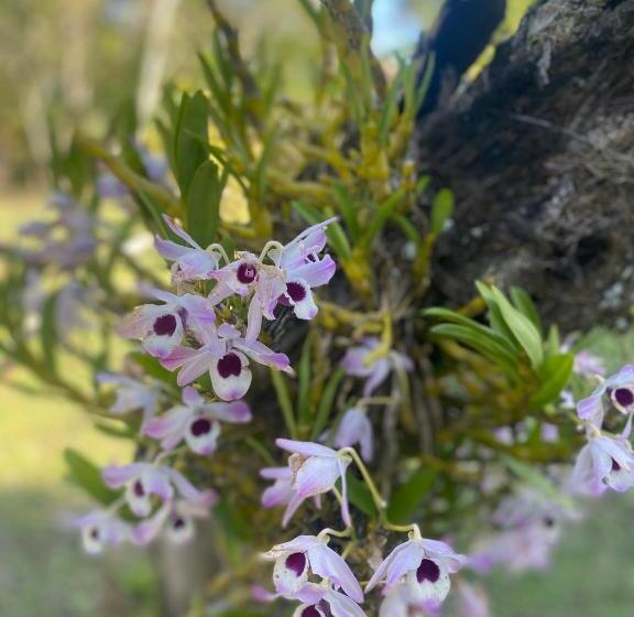 Пансион Pousada Da Mariinha