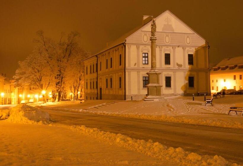 پانسیون Vila Pod Bránou