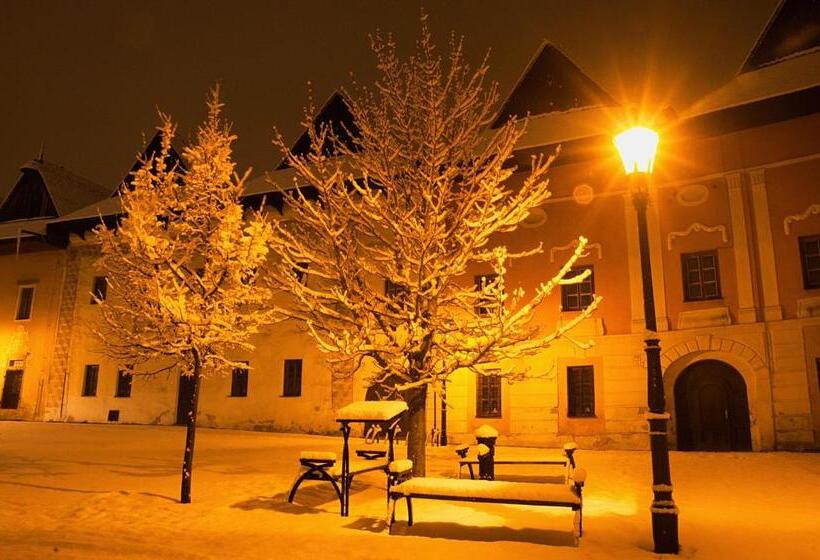 پانسیون Vila Pod Bránou