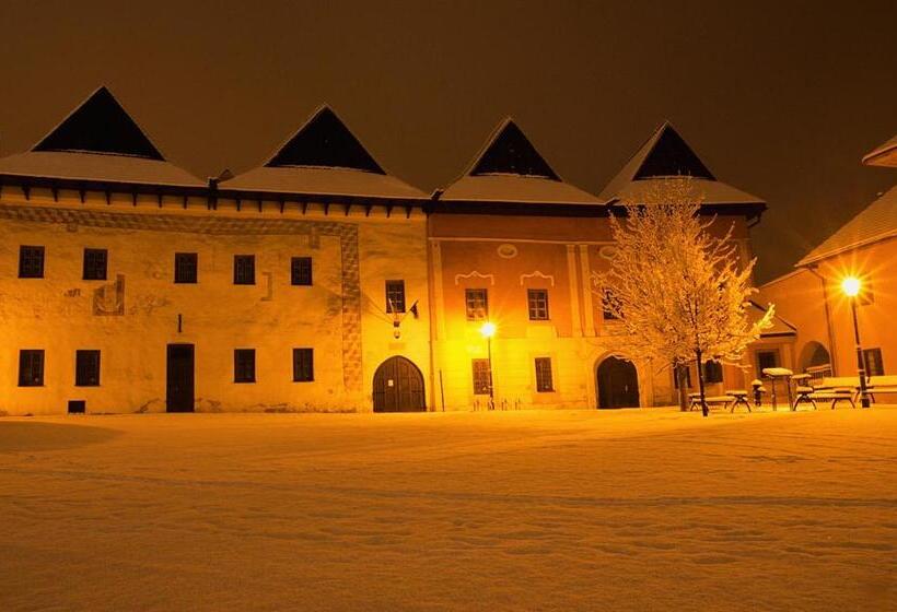 پانسیون Vila Pod Bránou