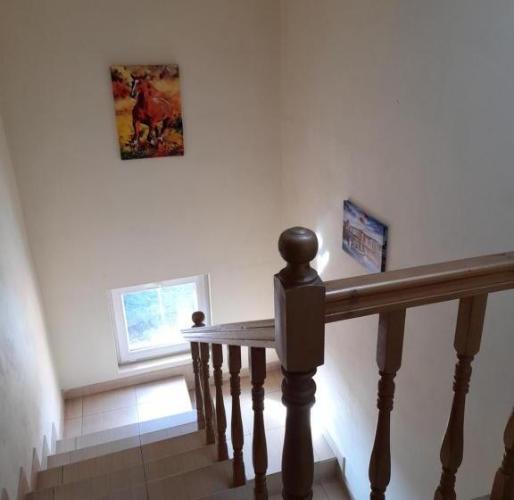 펜션 Yana Guest House