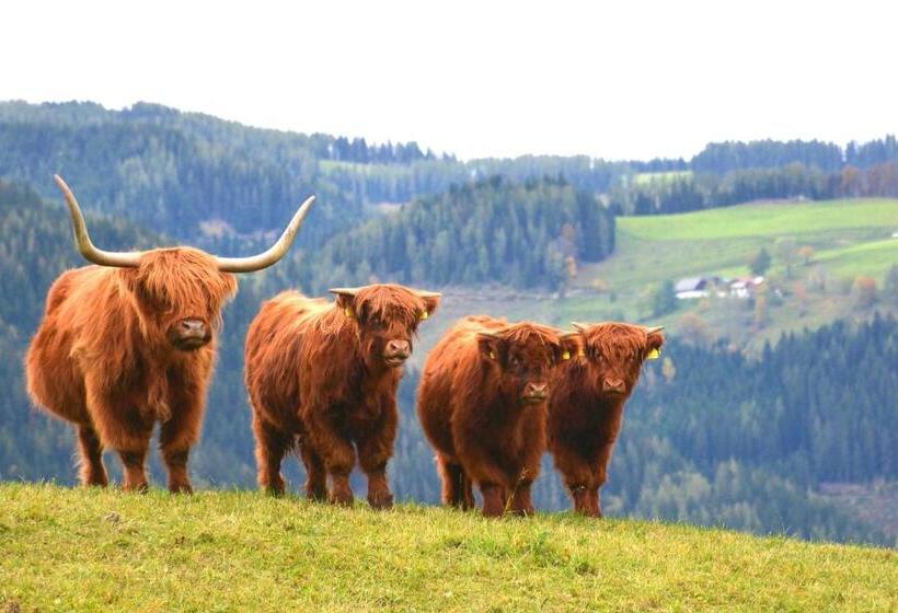 فندق صغير Frühstückspension Ochnerbauer