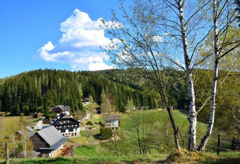 ユースホステル Frühstückspension Ochnerbauer