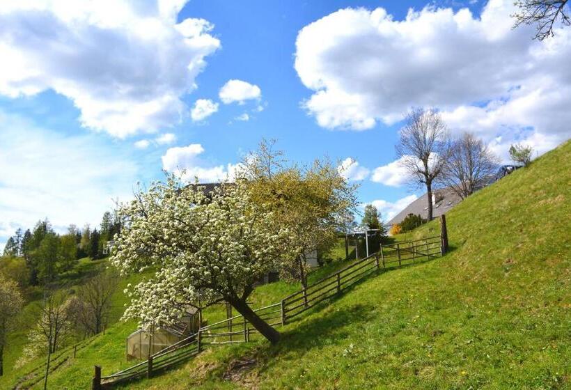 فندق صغير Frühstückspension Ochnerbauer