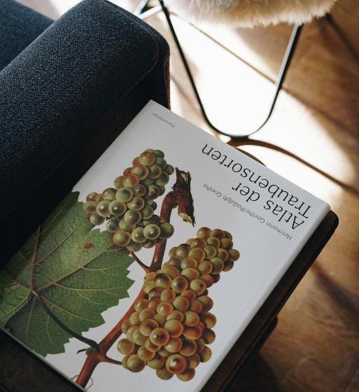 בית מלון כפרי Heurigenhof Bründlmayer