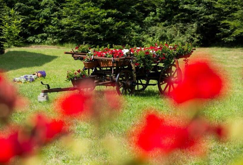 ホテル Hunter Vip