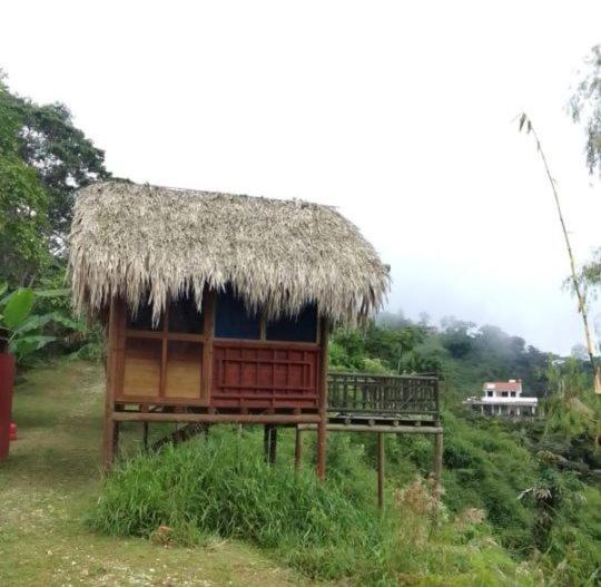 בית מלון כפרי Miradores Del Oso Perezoso