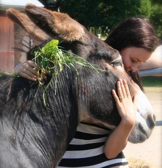 בית מלון כפרי Tukkilan Tila