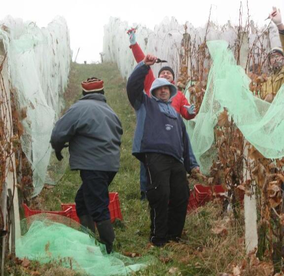 هتل Turistična Kmetija Dervarič