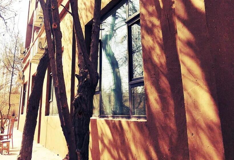 Pansiyon Dunhuang Jinshe Times Inn