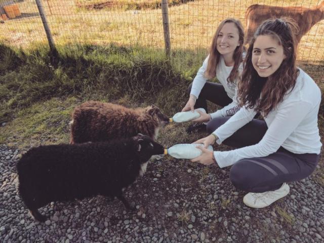 پانسیون Finnstaðir