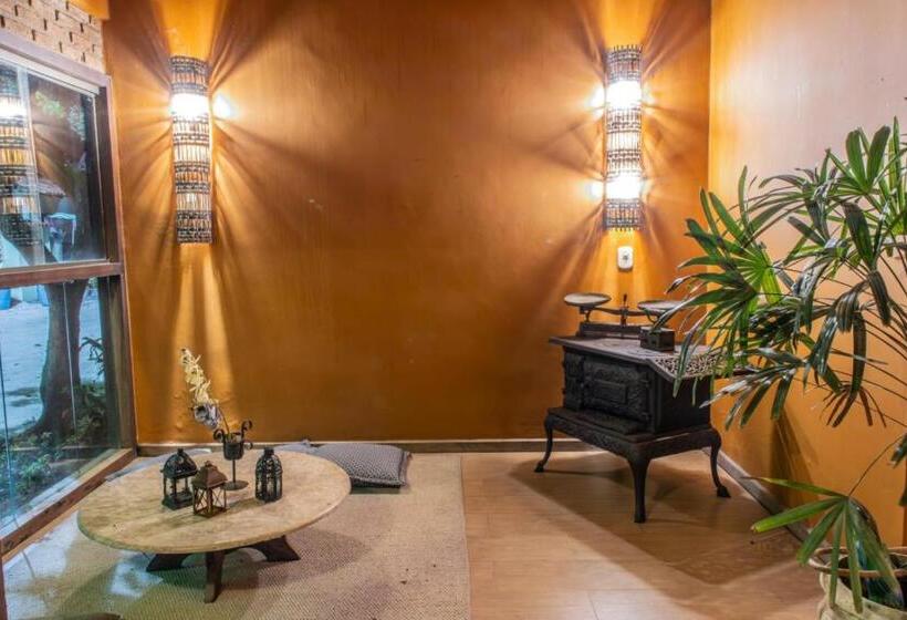 פנסיון Pousada Das Araras