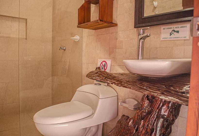 هاستل Casa Palomino Hostal