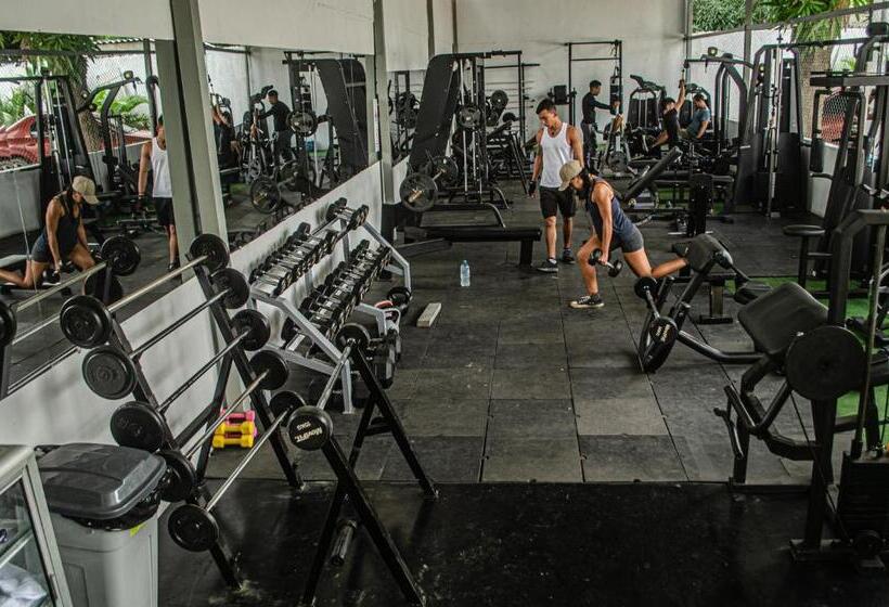 هاستل Casa Palomino Hostal