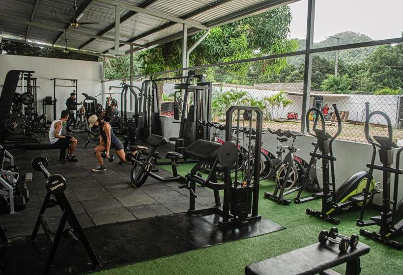 旅馆 Casa Palomino Hostal