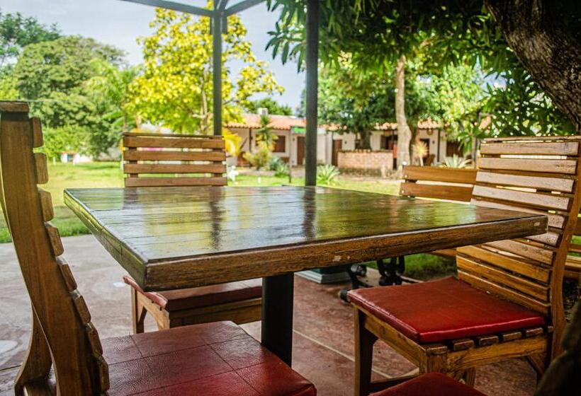 旅馆 Casa Palomino Hostal