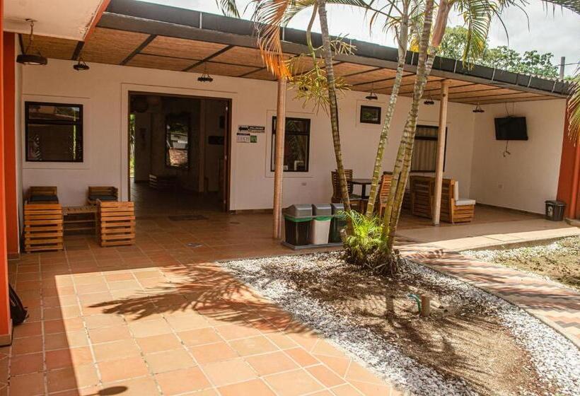 旅馆 Casa Palomino Hostal