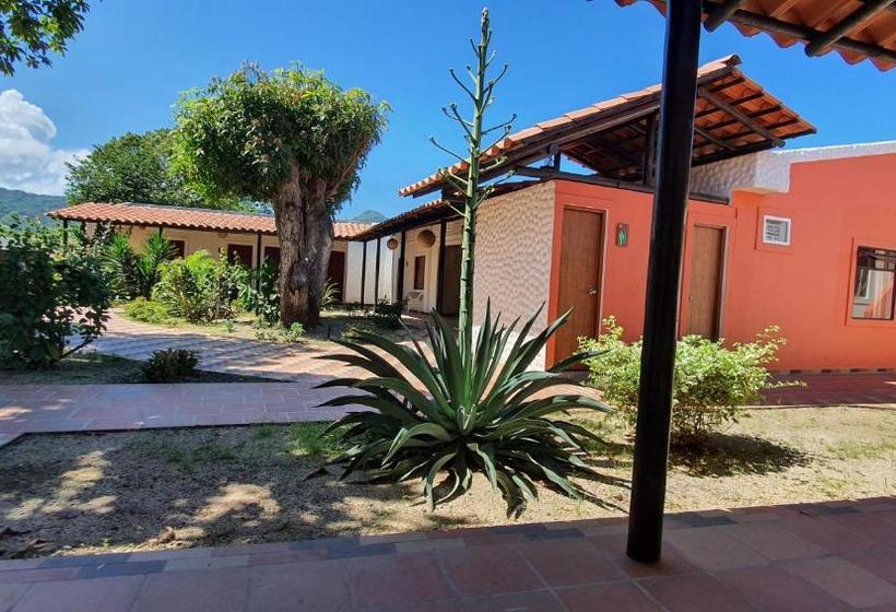 旅馆 Casa Palomino Hostal