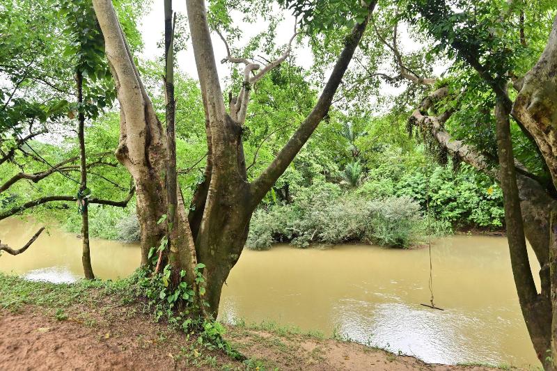 Khao Sok River Home Resort