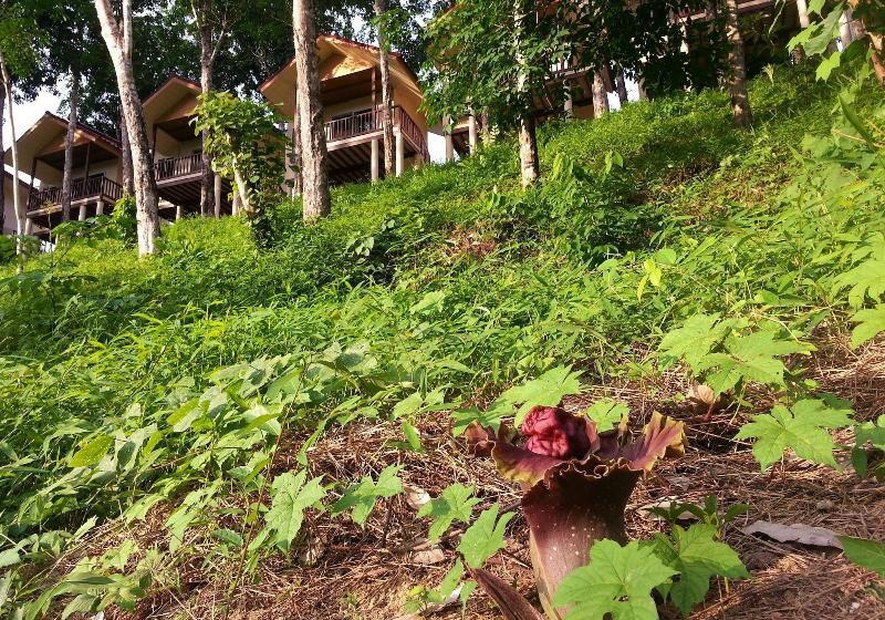 Khao Sok River Home Resort