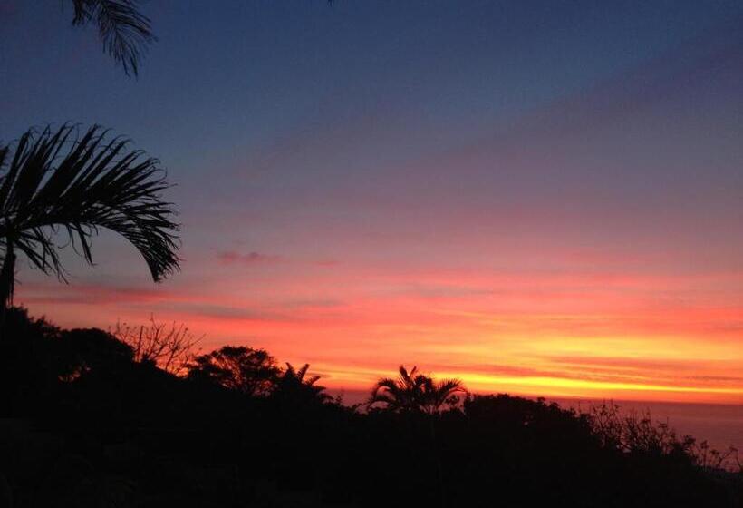 Пансион Albatros Guest House, Margate, South Africa