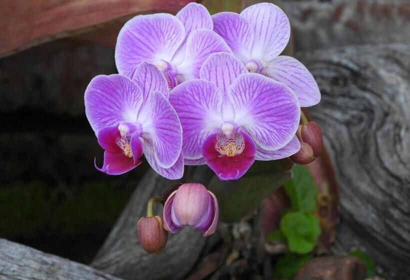 Пансион Albatros Guest House, Margate, South Africa