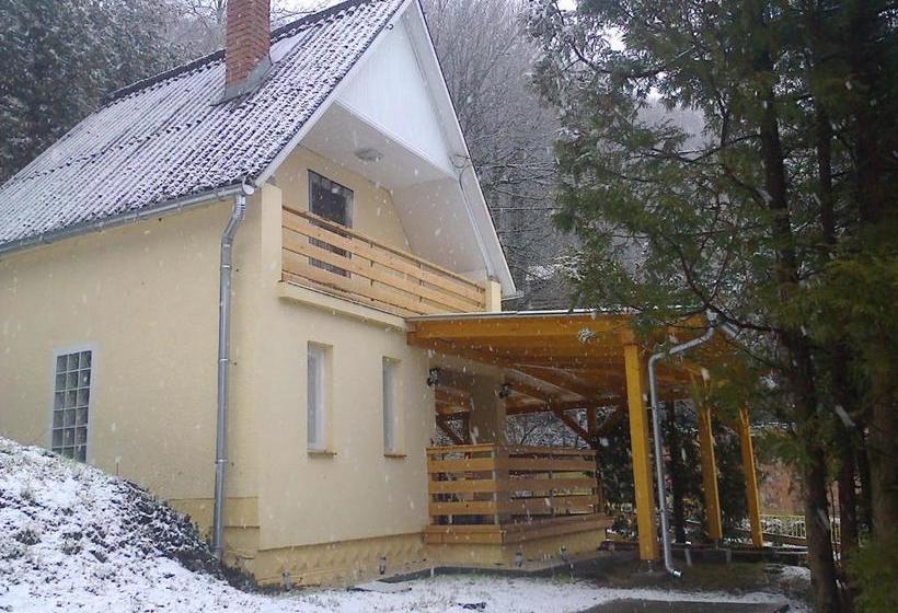 פנסיון Borostyán Vendégház